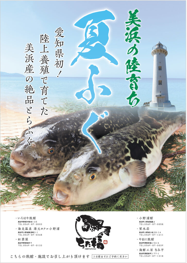 あいち美浜町観光協会と陸上養殖トラフグ「ちた福」の共同企画を開始 〜美浜町7施設で「夏ふぐ」料理メニューを提供〜